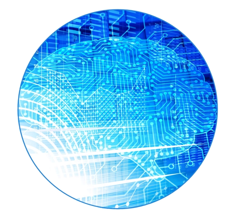 Lin Hsin Hsin Biometrics Intelligence