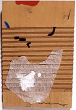 wash-board: scrub, powder, foam, lave by Lin Hsin Hsin,digital media pioneer,digital art,first virtual museum in the world, 1994