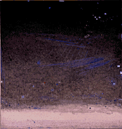 son des &eacute;toiles by Lin Hsin Hsin, digital media pioneer,digital art,digital art guru,established first virtual museum in the world,1994